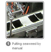 Putting seaweed by manual