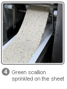 green scallion sprinkled on the sheet