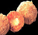 ANKOเครื่องทำอาหารสำหรับ Arancini